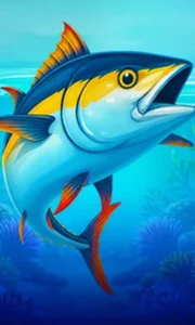Big Boat Big Catch